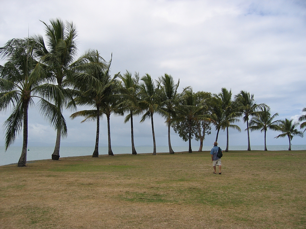 CairnsTC436 Port Douglas.jpg